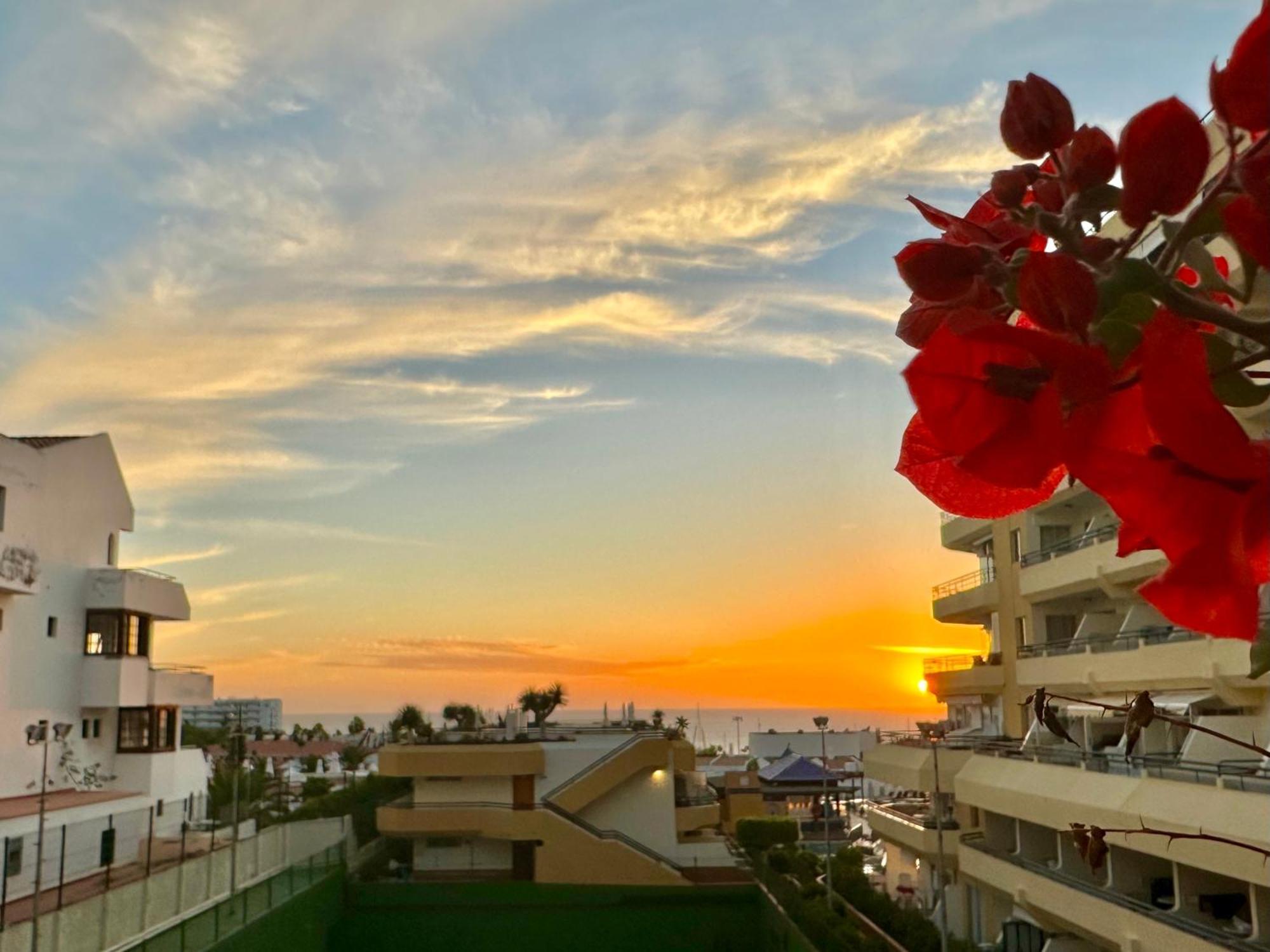 Apartment In Ocean Park, Costa Adeje, Tenerife Экстерьер фото